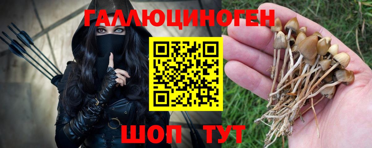 Галлюциногенные грибы Psilocybe  Вход с VPN  Рассказово 