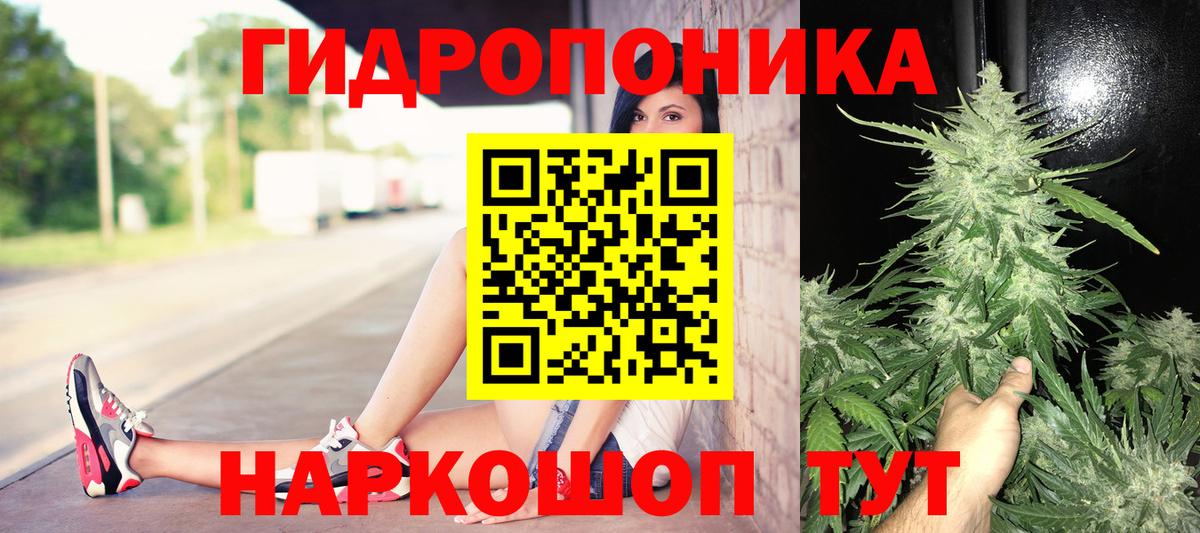Бошки Шишки марихуана Рассказово